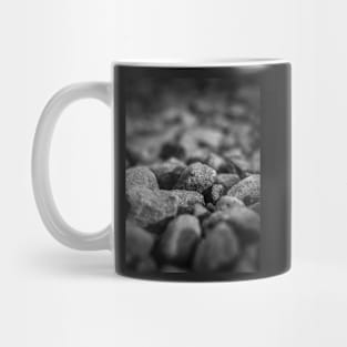 zen rocks Mug